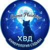 Логотип телеграм канала @plushtigr_numero — ХВД - нумерология судьбы
