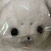 Логотип телеграм канала @plushtoys_cf — [НАБОР В АДМ/ВП] Plush toys confession