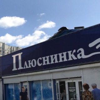 Логотип телеграм канала @plusninka — Плюснинка