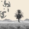 Логотип телеграм канала @pm6wu — emptiness