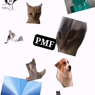 Логотип телеграм канала @pmfkanal — PersikMemesFactory(PMF)