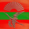 Логотип телеграм канала @pmr1112 — Приднестровье 112
