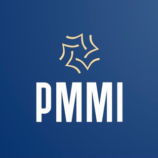 Логотип телеграм канала @pmviews — PMMI
