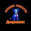 Логотип телеграм канала @pndzr — Дзержинск 52