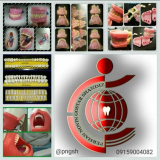 لوگوی کانال تلگرام pngsh — (آموزشی دندانپزشکی)Png.co