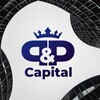 Логотип телеграм канала @pnpcapital — Инвест движение