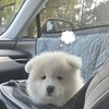 Логотип телеграм канала @po3abopty — Заколочена Судьба