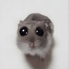 Логотип телеграм канала @pochitoham — Pochito