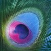 Логотип телеграм канала @pocket_songbook — Карманный песенник (Гаудия Гитанджали)