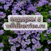 Логотип телеграм канала @podarok_vb — подарки с wildberries.ru🎁 • подборки • находки • скидки • обзоры