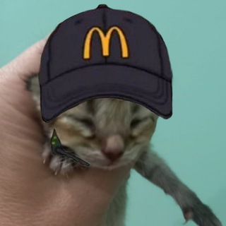 Логотип телеграм канала @podkodovim — Вечный инструктор