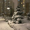 Логотип телеграм канала @podolskieluv — в Подольске любят…