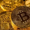 Логотип телеграм канала @podrabotkaonlain24 — Crypto ХАЛЯВА🪙