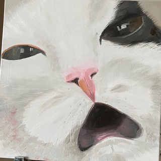 Логотип телеграм канала @podsherst — Подшёрст