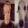 Логотип телеграм канала @podslllu — ♡Sterlitamak podslushano K-pop/CDG from korea♡