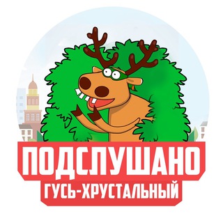 Логотип телеграм канала @podslushano_v_guse — ПОДСЛУШАНО ГУСЬ-ХРУСТАЛЬНЫЙ