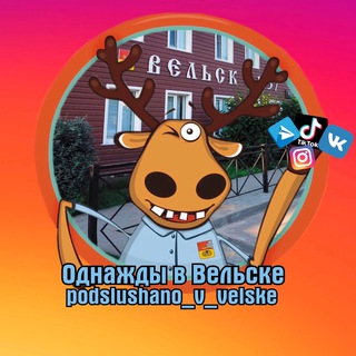 Логотип телеграм канала @podslushano_v_velske29 — Подслушано в Вельске