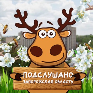 Telegram channel Подслушано Запорожская область logo