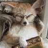 Логотип телеграм канала @podtexty — подТекст