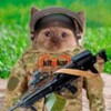 Логотип телеграм канала @podvalvolod — It-Подвал
