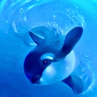 Telegram channel Подводный мир 🐬 logo