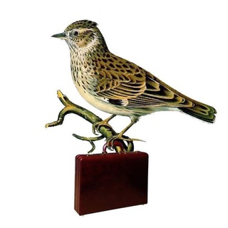 Логотип телеграм канала @poehala_news — Ладно, я поехала! | Новости туризма