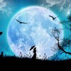 Логотип телеграм канала @poems_utm — Poems UTM