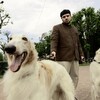 Логотип телеграм канала @poetvinichenko — Поэт Лёша Виниченко