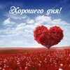 Логотип телеграм канала @poezdki_s_viktorovnoy — 🌺Поездки с Викторовной 🌺
