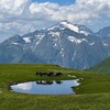 Логотип телеграм канала @pohod_sochi_kavkaz — Походы в Сочи-Абхазия-Кавказ с Сорокиной