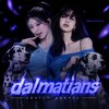 Логотип телеграм канала @poiskdalms — ищу сп/друзей ᵈᵃˡᵐᵃᵗⁱᵃⁿˢ