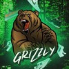 Логотип телеграм канала @poizongrizzly — Grizzly | Доставка пойзон