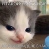 Логотип телеграм канала @pokajimame — Не стыдно показать маме!