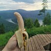 Логотип телеграм канала @pokazivayumemi — Исключительно базовый вахтовик