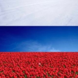 Логотип телеграм канала @pokrovskaya_sosh — МКОУ "Покровская СОШ"