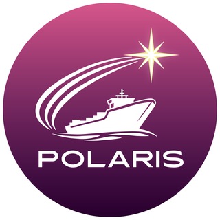 Логотип телеграм канала @polaris_seadocs — Polaris