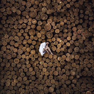 Логотип телеграм канала @polekhin_v_photo — Polekhin_v Photo