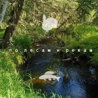 Логотип телеграм канала @polesamirekam — По лесам и рекам (Охота Рыбалка Природа Отдых)