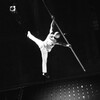 Logo of telegram channel poleworlds — POLE and AERIAL WORLD