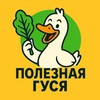 Логотип телеграм канала @poleznaygusya — Полезная Гуся 🤍
