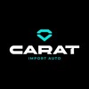 Логотип телеграм канала @policarat — CARAT-Авто из-за рубежа