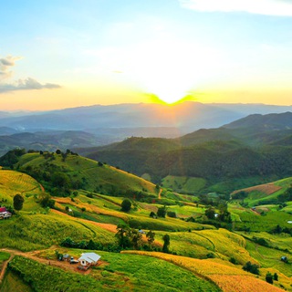 Логотип телеграм канала @polis_ideal — ПОЛИС - образ будущего (агломерация экопоселений)