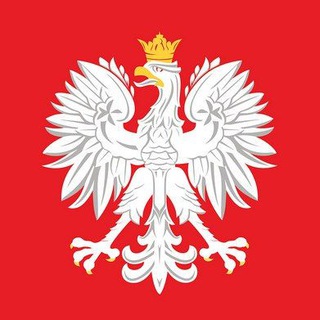 Логотип телеграм канала @polish_polls — Польский в опросах 🇵🇱 n 1
