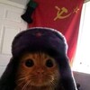 Логотип телеграм канала @polisha_ve — полиша вещает