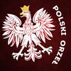 Logo of telegram channel polisheagle1918 — Polski Orzeł | TUSK | Europa