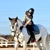 Логотип телеграм канала @pollyequestrian — ♡ P𐌏𑀉𑀉YEQ ♡
