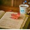 टेलीग्राम चैनल का लोगो polnotes25 — Political science hindi notes