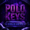 Logo of telegram channel polo_keys — 𝑃𝑂𝐿𝑂 𝐾𝐸𝑌𝑆 🇹🇲 ²⁰²⁶