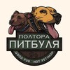 Логотип телеграм канала @poltorapitbulya — Паб "Полтора питбуля"