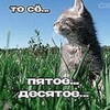 Логотип телеграм канала @polu_zhid_sneg — Полу-Жидкий Снеговик ⛄️⛄️⛄️